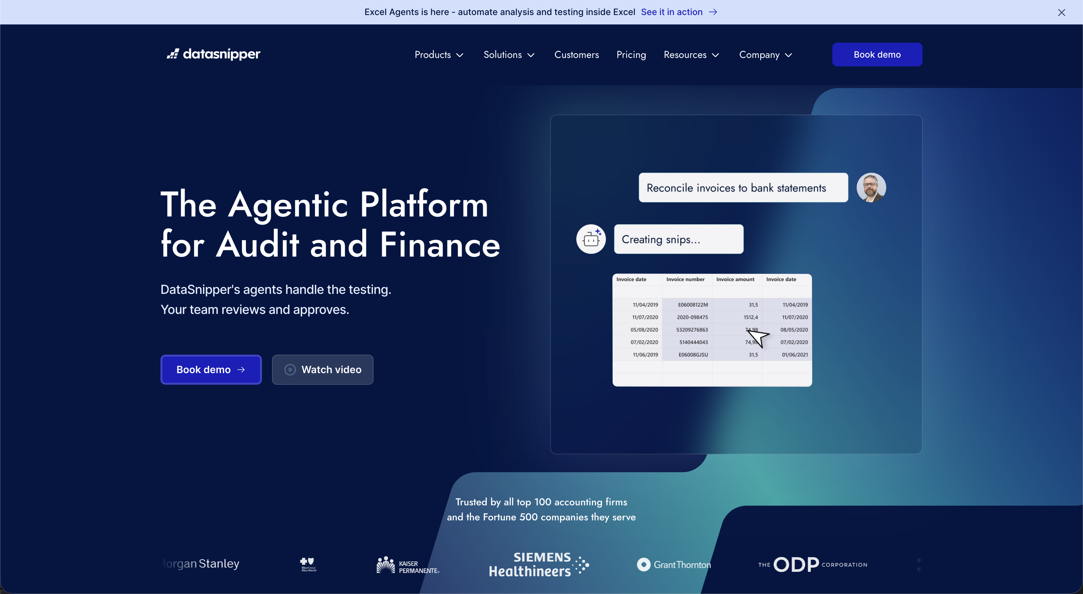 DataSnipper website hero: The Agentic Platform for Audit and Finance. DataSnipper's agents handle the testing. Your team reviews and approves.